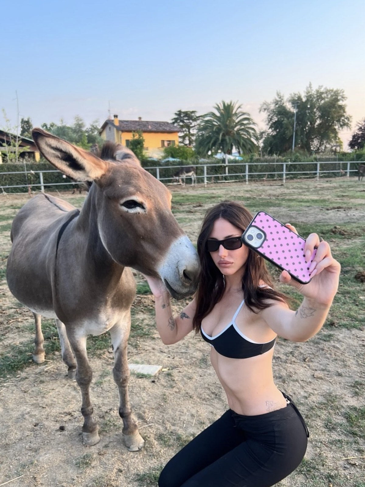 Cliente Scirocco in campagna con un asinello
